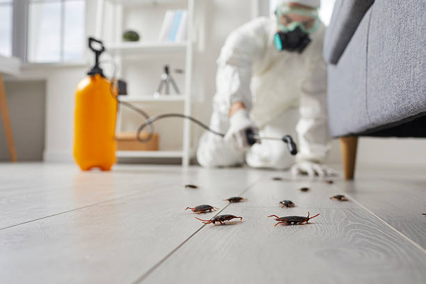 Commercial Kitchen Cockroach Control in Vandergrift